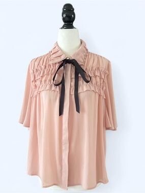 Zara Dusty Pink Sheer Ruffle Bow Tie Blouse Flutter Sleeve Coquette M